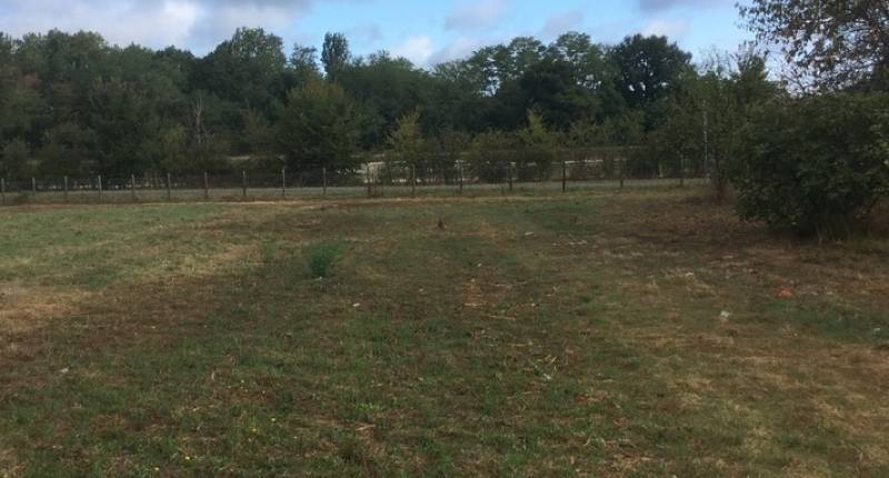 Parcelle constructible sur laquelle construire une maison contemporaine à TAILLAN MEDOC 