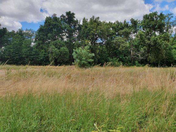 Terrain à bâtir à vendre sur Ludon Médoc pour maison en bois
