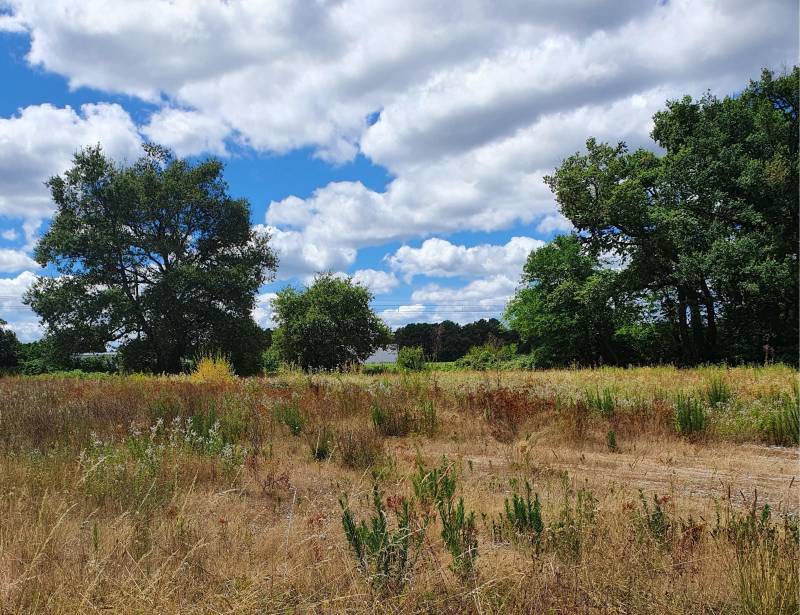 Dessiner une maison en bois avec un constructeur de maisons