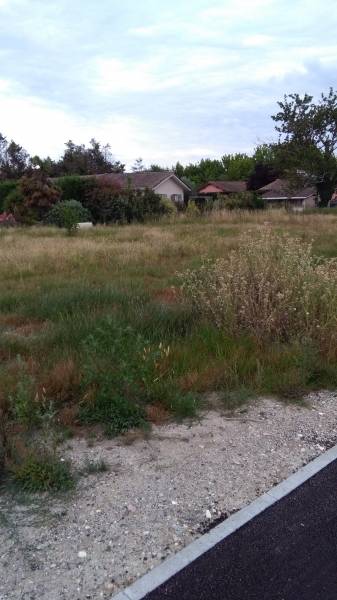 Imaginer un plan de maison pour une construction bois en Gironde