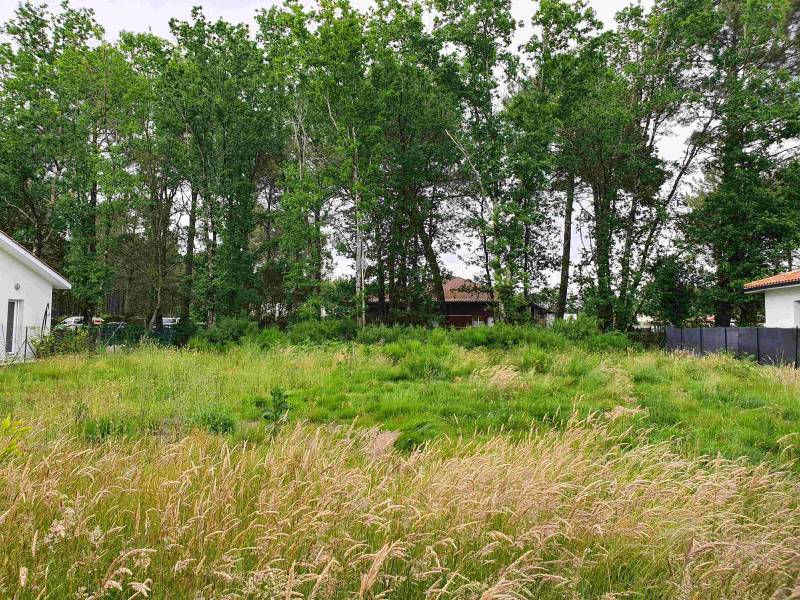 Construire une maison bois dans les Landes