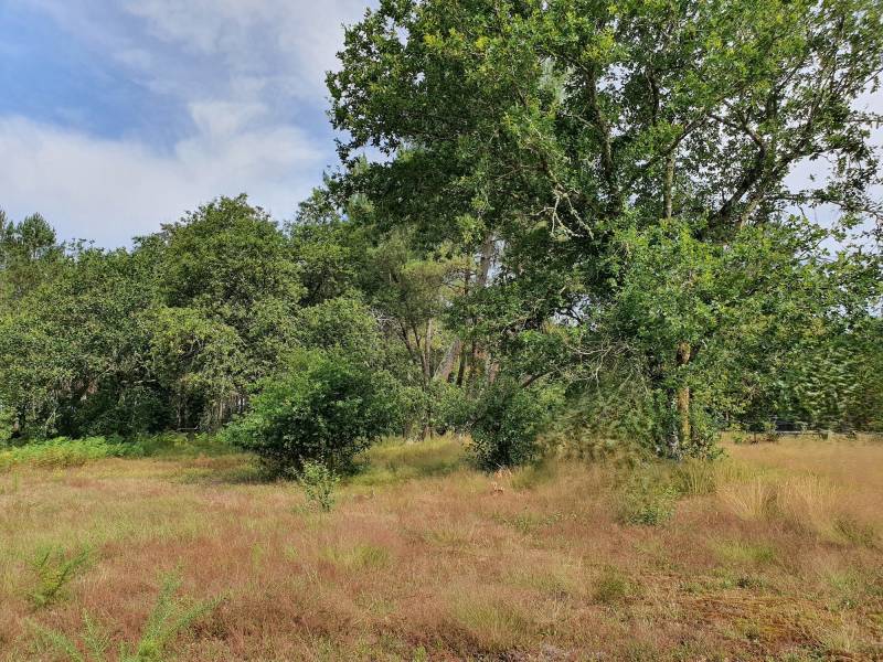 Faire construire une maison en bois éco-responsable à Marcheprime en Gironde