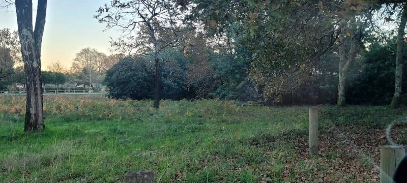 Acheter un grand terrain à Mios sur le Bassin d’Arcachon 