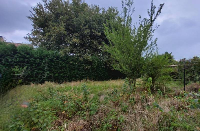 Réaliser une maison écologique en bois au BARP