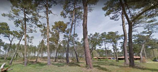 Bâtir dans un lotissement de la commune de PISSOS sa maison individuelle avec jardin