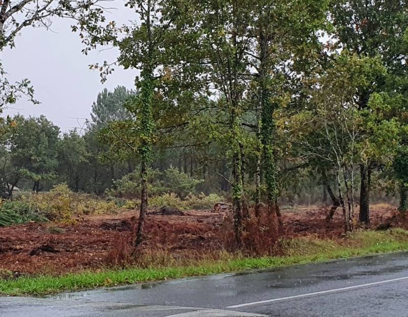 Construction d’une maison en bois à énergie positive dans le village de BRACH 