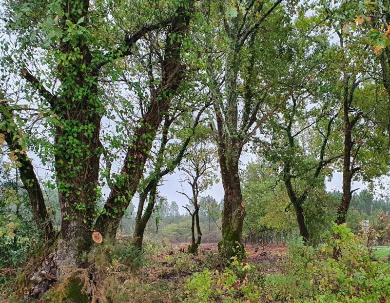 Constructeur de maisons individuelles sur mesure à Lacanau 