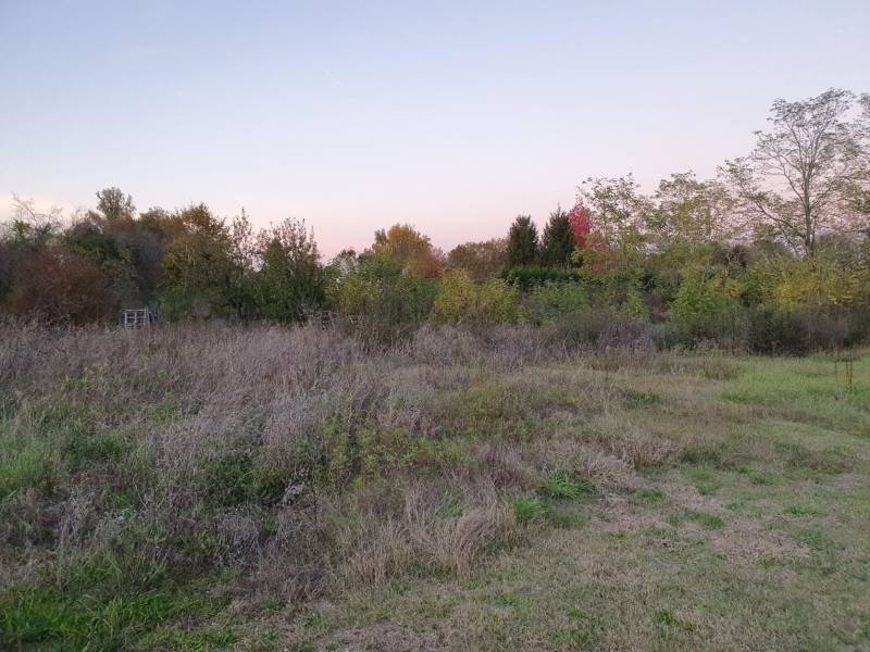 A vendre terrain Blanquefort pour construction neuve en bois