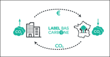 La compensation carbone locale par le boisement de parcelles