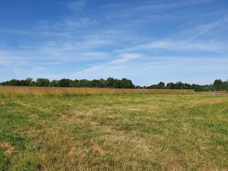 Faire construire sa maison en bois à Sadirac dans l’Entre-Deux-Mers