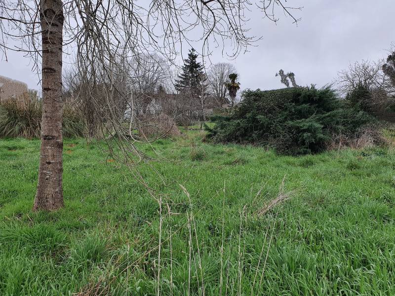 A vendre terrain viabilisé dans un quartier calme à SADIRAC près de Bordeaux 