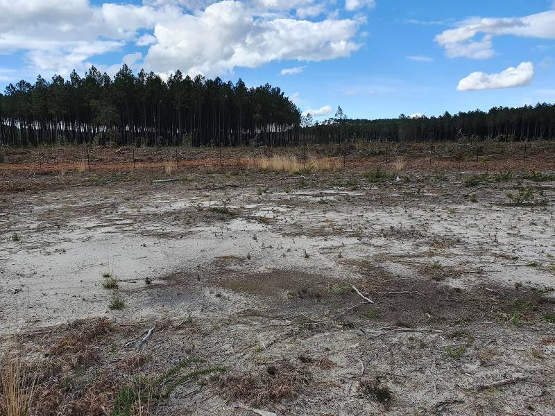 Terrain à construire dans la ville de SANGUINET dans les Landes  