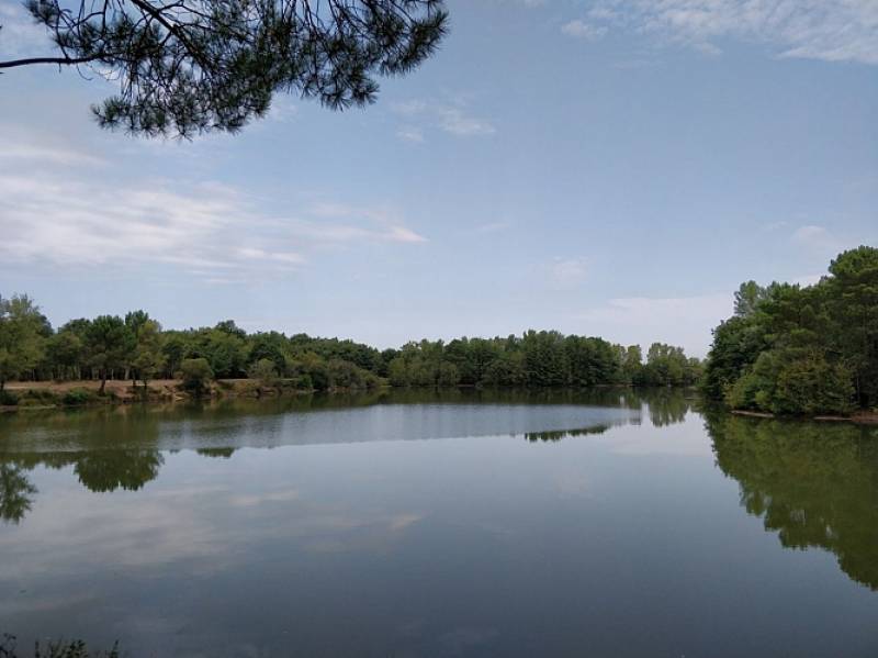 Faire construire une maison bois à Avensan et se promener près de l'Etang