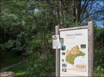 Terrain constructible dans un cadre naturel au Taillan Médoc en Gironde