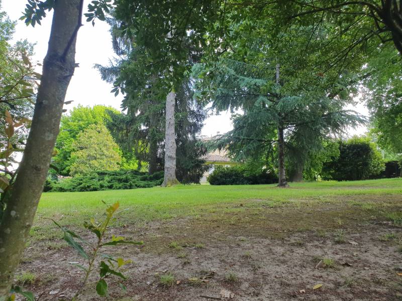 A vendre terrain arboré avec un grand jardin dans la commune de MONTUSSAN