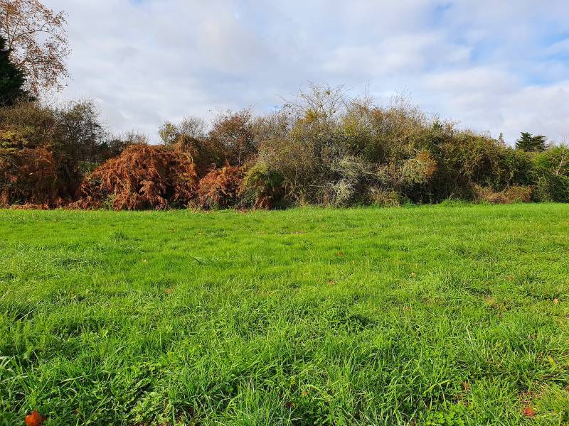 A vendre terrain viabilisé à Fargues-Saint-Hilaire près de Bordeaux 