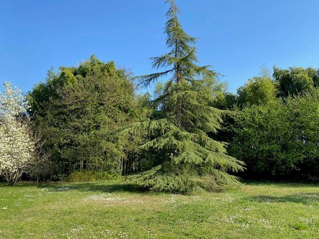 Constructeur de maisons sur la commune du HAILLAN Terrain à bâtir de 753m²