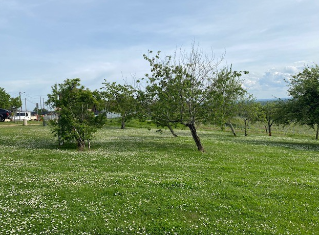 Constructeur de maisons avec terrains sur Martignas sur Jalles