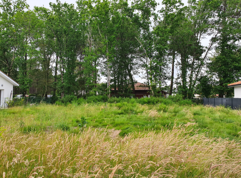 Magescq dans les Landes terrain de 602 m² à vendre au prix de 145000€