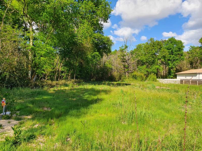 Terrain constructible viabilisé à Saint Selve près de Labrède avec assainissement individuel.