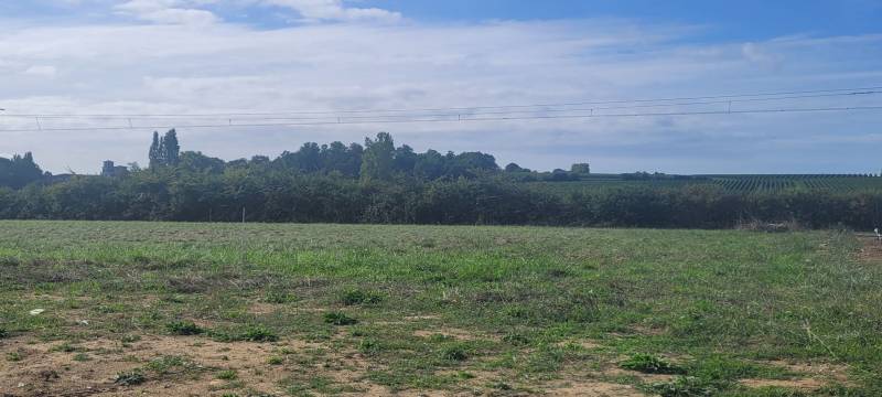 Terrain à vendre à VERTHEUIL entre Saint Laurent Médoc et Lesparre en Gironde