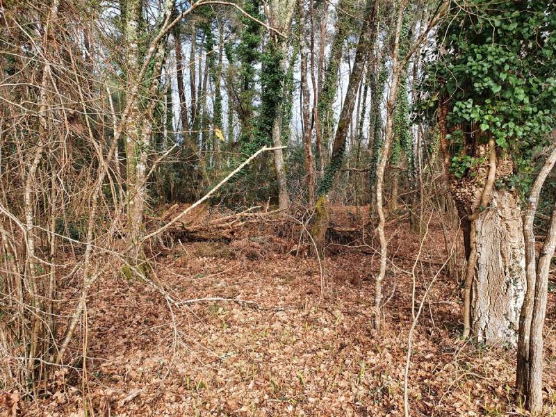 Terrain à vendre à Vielle Saint Girons dans les Landes