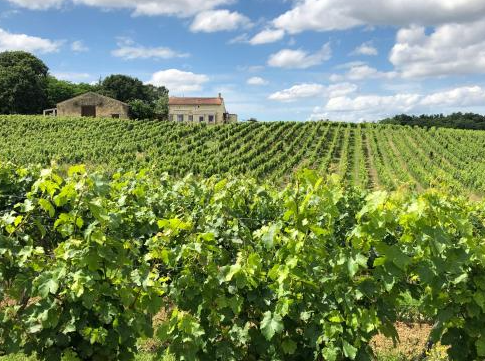 TERRAINS A BATIR D'UNE SUPERFICIE DE 509 M² SUR YVRAC