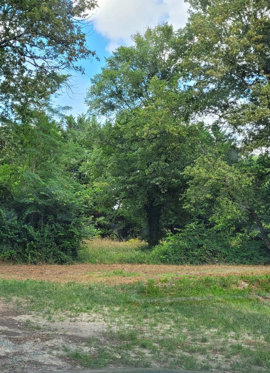 En exclusivité ! Terrain en plein au cœur de la commune LA TESTE-DE-BUCH
