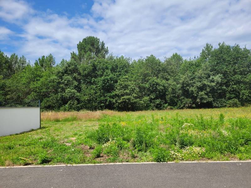 Terrain rare en vente à LACANAU CENTRE pour un projet de maison bois C-MOBI
