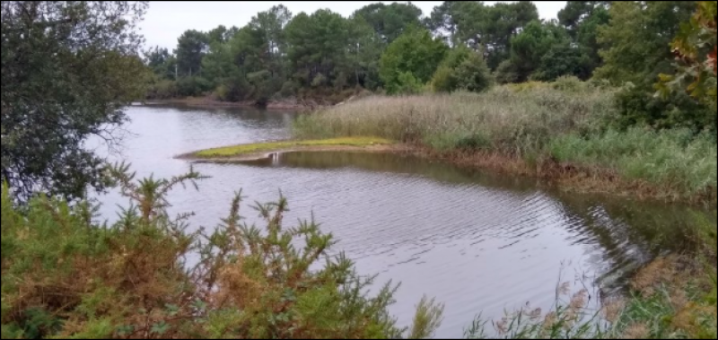 Acheter une maison au Teich Bassin d'Arcachon