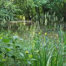 Terrain à bâtir Beautiran pour maison ossature bois