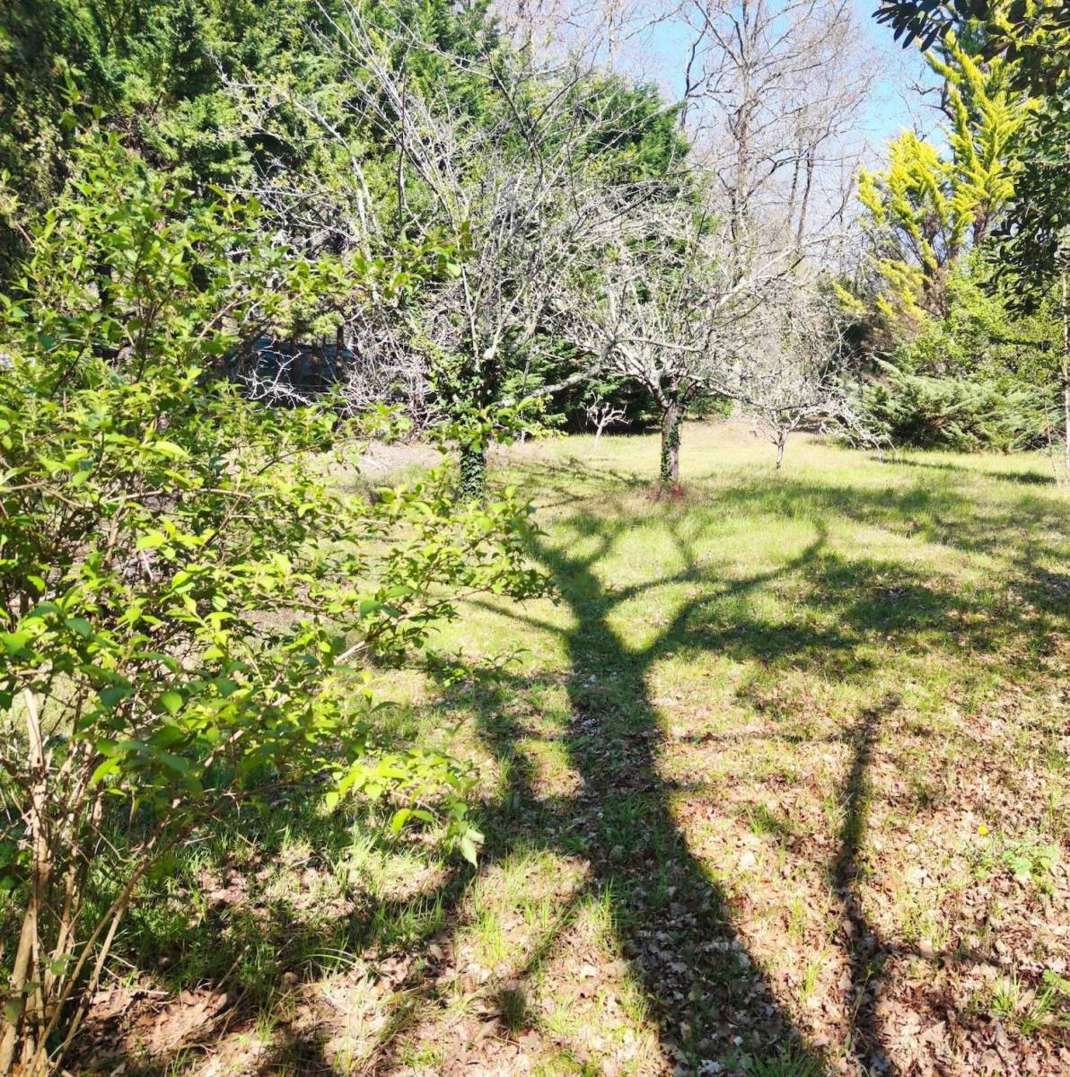 Acheter un terrain constructible sur le Bassin dArcachon dans la commune d’Audenge