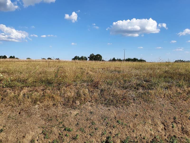 Maison à vendre proche Langon route de Toulouse