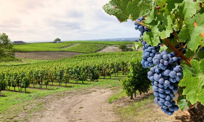 Construire à Créon une maison en bois pas cher