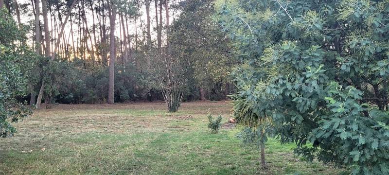 Terrain viabilisé sur le Bassin d’Arcachon