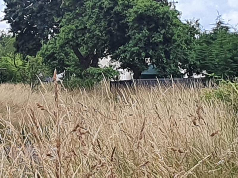 Construire une maison contemporaine en bois proche de Bordeaux 