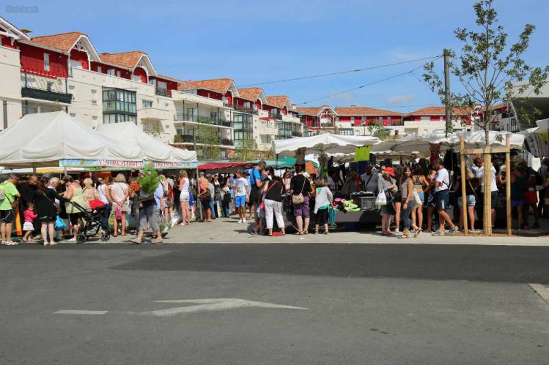 Meilleur constructeur de maisons ossature bois à La Teste-de-Buch