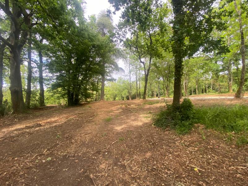 construire une maison proche Bordeaux sur la commune de Bouliac