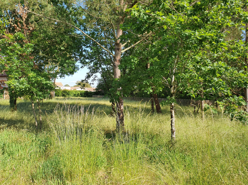 Maison ossature bois à construire à Moliets et Maa, Landes, Nouvelle Aquitaine