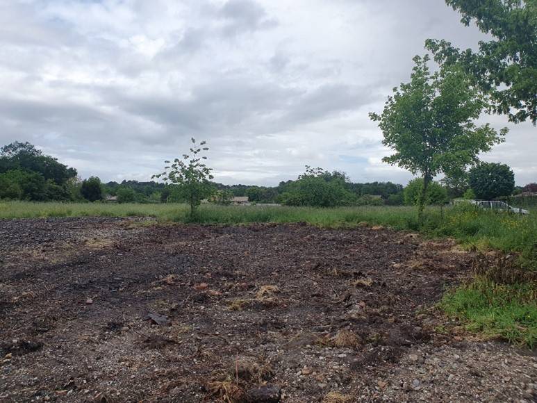 Terrain viabilisé pour une maison contemporaine en bois à Le PIAN-MEDOC en Gironde