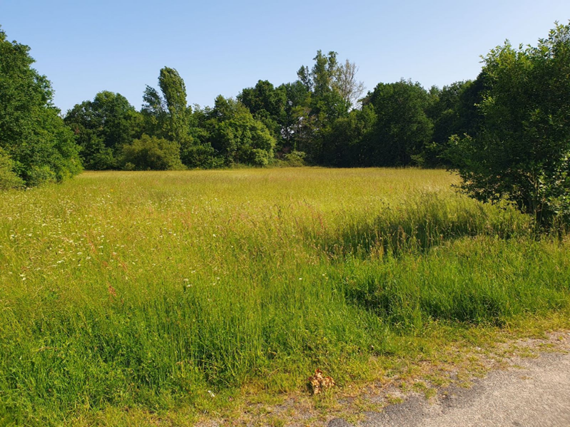 Bâtir une maison individuelle sur un terrain plat et carré dans le Médoc 