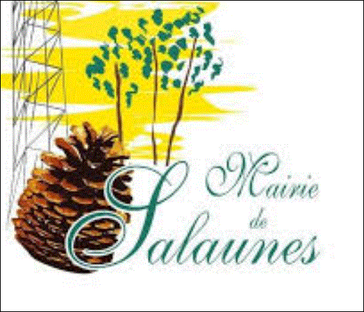 Mairie de Salaunes pour dépôt de permis de construire d'une maison en bois