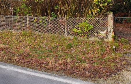 Construire sur un terrain boisé une maison modulable en bois à SAINT-AUBIN-DE-MEDOC 
