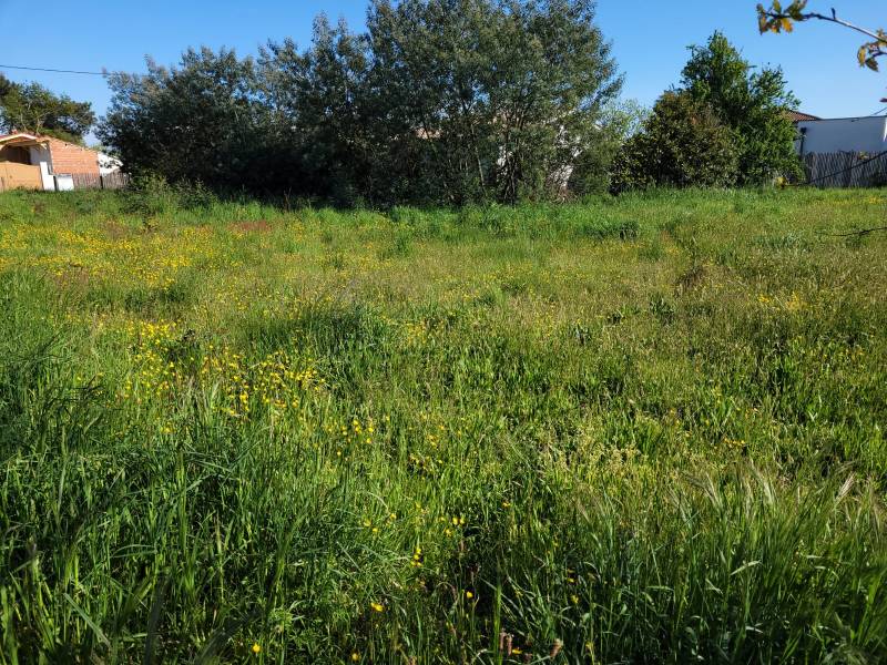 Réaliser une maison écologique en bois à côté du lac de PARENTIS-EN-BORN