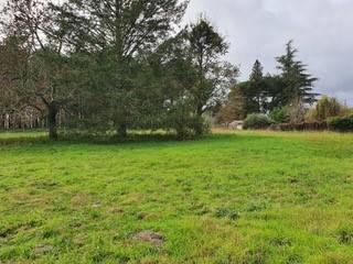 Vente d’un grand terrain à CRÉON près de Bordeaux