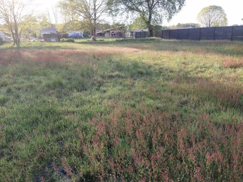 Terrain viabilisé exposé plein sud à proximité du centre-ville de Lège-Cap-Ferret