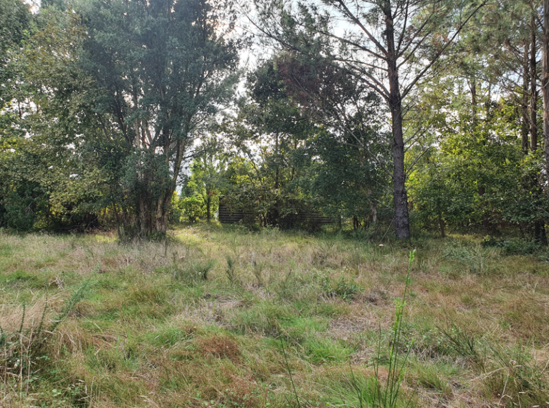 Maison ossature bois à construire sur la commune de Lugos dans les Landes Girondines