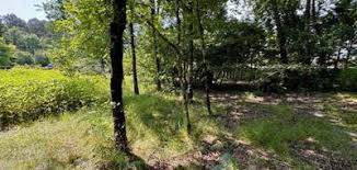 Terrain à vendre pas cher sur le commune du Temple dans le Médoc 